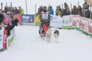 Schlittenhunderennen-Todtmoos-24022013-Bodensee-Community-seechat_de-IMG_3290.JPG