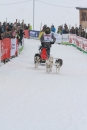 Schlittenhunderennen-Todtmoos-24022013-Bodensee-Community-seechat_de-IMG_3291.JPG