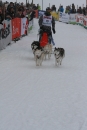 Schlittenhunderennen-Todtmoos-24022013-Bodensee-Community-seechat_de-IMG_3292.JPG