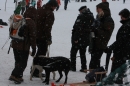 Schlittenhunderennen-Todtmoos-24022013-Bodensee-Community-seechat_de-IMG_3376.JPG