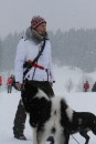 Schlittenhunderennen-Todtmoos-24022013-Bodensee-Community-seechat_de-IMG_3407.JPG