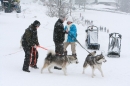 Schlittenhunderennen-Todtmoos-24022013-Bodensee-Community-seechat_de-IMG_3416.JPG