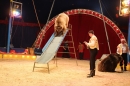 Circus-Luna-Radolfzell-21-03-2013-Bodensee-Community-SEECHAT_DE-IMG_7193.JPG