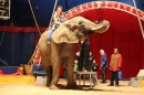 Circus-Luna-Radolfzell-21-03-2013-Bodensee-Community-SEECHAT_DE-IMG_7320.JPG