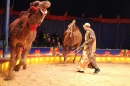 Circus-Luna-Radolfzell-21-03-2013-Bodensee-Community-SEECHAT_DE-IMG_7357.JPG