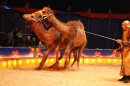 Circus-Luna-Radolfzell-21-03-2013-Bodensee-Community-SEECHAT_DE-IMG_7395.JPG