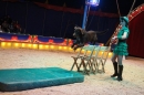 Circus-Luna-Radolfzell-21-03-2013-Bodensee-Community-SEECHAT_DE-IMG_7416.JPG