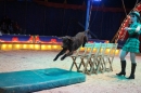 Circus-Luna-Radolfzell-21-03-2013-Bodensee-Community-SEECHAT_DE-IMG_7423.JPG