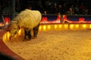 Circus-Luna-Radolfzell-21-03-2013-Bodensee-Community-SEECHAT_DE-IMG_7523.JPG