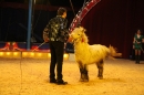 Circus-Luna-Radolfzell-21-03-2013-Bodensee-Community-SEECHAT_DE-IMG_7528.JPG