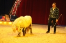 Circus-Luna-Radolfzell-21-03-2013-Bodensee-Community-SEECHAT_DE-IMG_7529.JPG