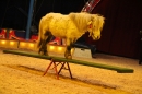 Circus-Luna-Radolfzell-21-03-2013-Bodensee-Community-SEECHAT_DE-IMG_7531.JPG