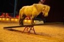 Circus-Luna-Radolfzell-21-03-2013-Bodensee-Community-SEECHAT_DE-IMG_7533.JPG