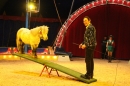 Circus-Luna-Radolfzell-21-03-2013-Bodensee-Community-SEECHAT_DE-IMG_7546.JPG