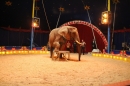 Circus-Luna-Radolfzell-21-03-2013-Bodensee-Community-SEECHAT_DE-IMG_7577.JPG