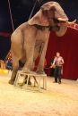 Circus-Luna-Radolfzell-21-03-2013-Bodensee-Community-SEECHAT_DE-IMG_7579.JPG