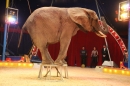 Circus-Luna-Radolfzell-21-03-2013-Bodensee-Community-SEECHAT_DE-IMG_7588.JPG