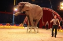 Circus-Luna-Radolfzell-21-03-2013-Bodensee-Community-SEECHAT_DE-IMG_7614.JPG