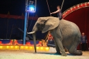 Circus-Luna-Radolfzell-21-03-2013-Bodensee-Community-SEECHAT_DE-IMG_7647.JPG