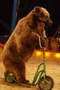 Circus-Luna-Radolfzell-21-03-2013-Bodensee-Community-SEECHAT_DE-IMG_8814.JPG