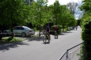 Rothaus-Bike-Marathon-Singen-120513-Bodensee-Community-seechat_de-_56.jpg