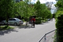 Rothaus-Bike-Marathon-Singen-120513-Bodensee-Community-seechat_de-_96.jpg