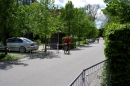 Rothaus-Bike-Marathon-Singen-120513-Bodensee-Community-seechat_de-_97.jpg