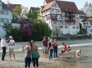 Flohmarkt-Riedlingen-180513-Bodensee-Community-seechat_de-_178.jpg