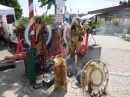 Hafenfest-Ludwigshafen-30-06-2013-Bodensee-Community-seechat_DE-P1040599.JPG