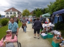 Hafenfest-Ludwigshafen-30-06-2013-Bodensee-Community-seechat_DE-P1040744.JPG