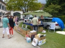 Hafenfest-Ludwigshafen-30-06-2013-Bodensee-Community-seechat_DE-P1040754.JPG