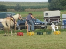 Westernreiter-D-Turnier-Aach-Linz-180813-Bodensee-Community-SEECHAT_DE-IMG_0842.JPG