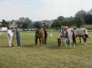 Westernreiter-D-Turnier-Aach-Linz-180813-Bodensee-Community-SEECHAT_DE-IMG_0844.JPG