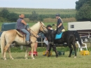 Westernreiter-D-Turnier-Aach-Linz-180813-Bodensee-Community-SEECHAT_DE-IMG_0847.JPG