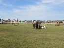 Westernreiter-D-Turnier-Aach-Linz-180813-Bodensee-Community-SEECHAT_DE-IMG_0853.JPG