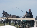 Westernreiter-D-Turnier-Aach-Linz-180813-Bodensee-Community-SEECHAT_DE-IMG_0910.JPG