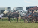 Westernreiter-D-Turnier-Aach-Linz-180813-Bodensee-Community-SEECHAT_DE-IMG_0984.JPG