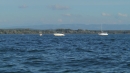 Interboot-2013-Messe-Friedrichshafen-Bodensee-Community-SEECHAT_DE-11010018.JPG