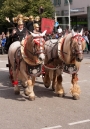 Trachtenumzug-Oktoberfest-Muenchen-22-09-2013--Bodensee-Community-SEECHAT_de-YX4M8441-1.jpg