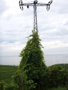 Tag-der-deutschen-Einheit-Meersburg-031013-Bodensee-Community-SEECHAT_DE-P1000162.JPG