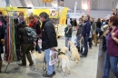 animal-Messe-Stuttgart-16-11-2013-Bodensee-Community-SEECHAT_DE-IMG_1890.JPG