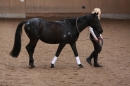 3-Koenigs-Reiten-Jettweiler-060114-BODENSEE-COMMUNITY-SEECHAT_DE-IMG_8291.JPG