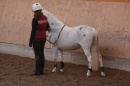 3-Koenigs-Reiten-Jettweiler-060114-BODENSEE-COMMUNITY-SEECHAT_DE-IMG_8500.JPG