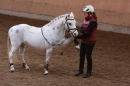 3-Koenigs-Reiten-Jettweiler-060114-BODENSEE-COMMUNITY-SEECHAT_DE-IMG_8533.JPG