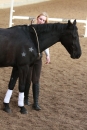 3-Koenigs-Reiten-Jettweiler-060114-BODENSEE-COMMUNITY-SEECHAT_DE-IMG_8574.JPG