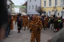 Narrensprung-Langenargen-190114-Bodensee-Community-Seechat_de--3611.jpg