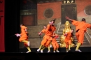 Shaolin-Kampfkunst-Singen-210114-Bodensee-Community-seechat_de-IMG_5321.JPG