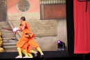 Shaolin-Kampfkunst-Singen-210114-Bodensee-Community-seechat_de-IMG_5336.JPG