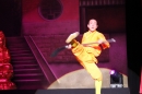 Shaolin-Kampfkunst-Singen-210114-Bodensee-Community-seechat_de-IMG_5343.JPG