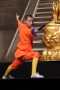 Shaolin-Kampfkunst-Singen-210114-Bodensee-Community-seechat_de-IMG_5374.JPG